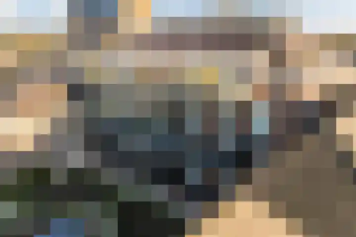 Peppengouw 173 Almere thumbnail 9