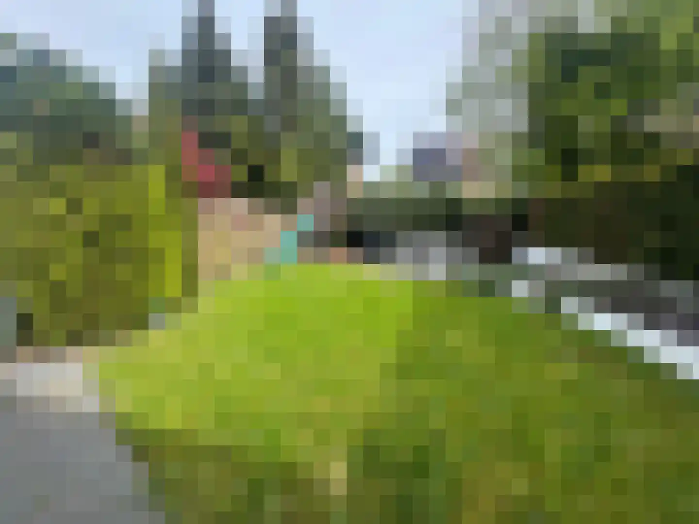 Peppengouw 206 Almere thumbnail 44