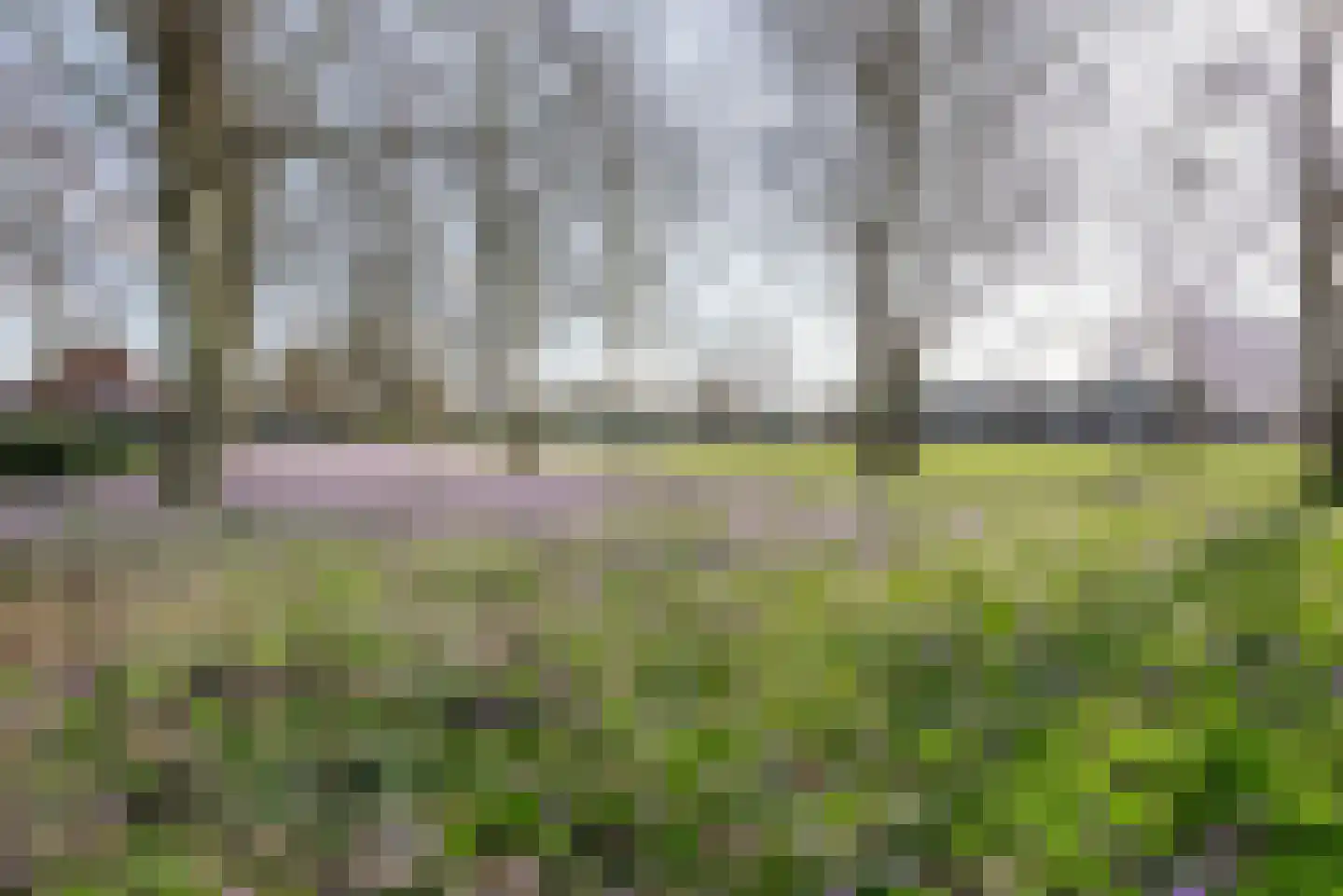 Peppengouw 206 Almere thumbnail 47