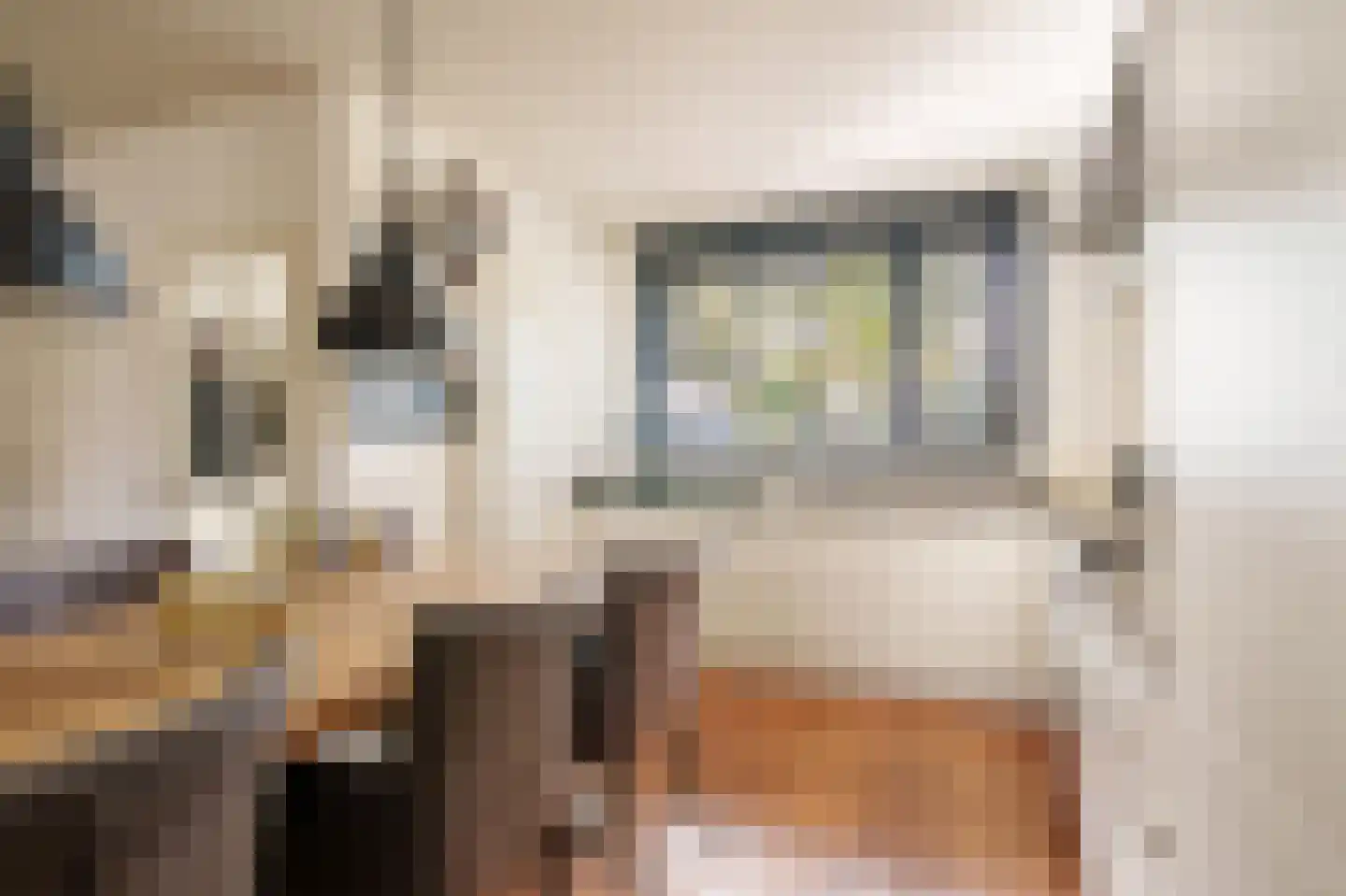 Peppengouw 37 Almere thumbnail 10