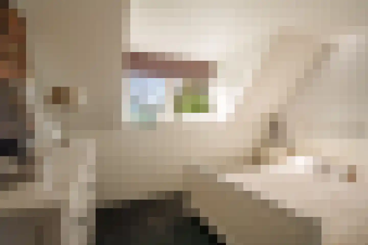 Peppengouw 37 Almere thumbnail 27