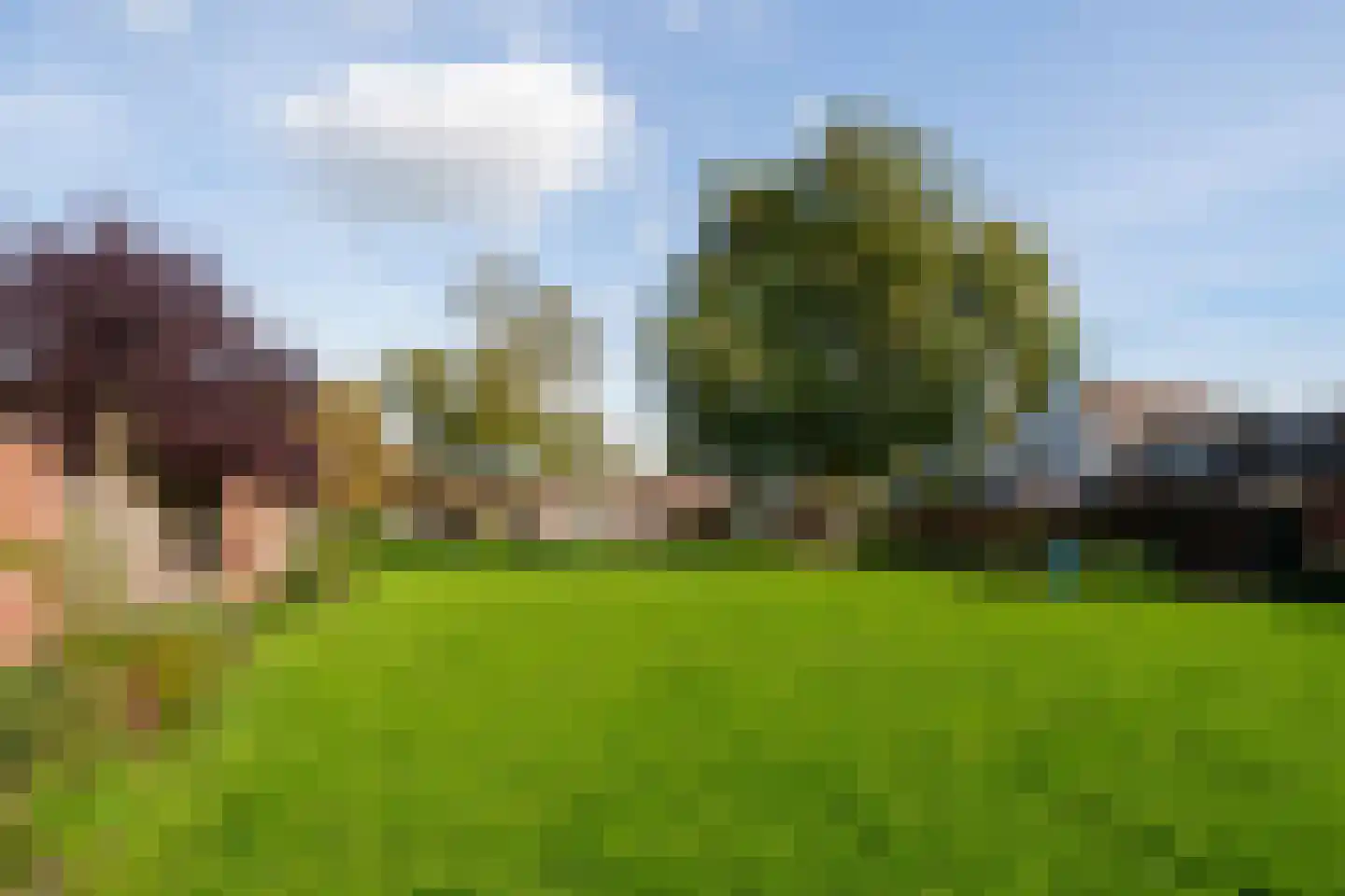 Peppengouw 37 Almere thumbnail 48