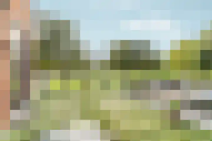 Peppengouw 38 Almere thumbnail 15