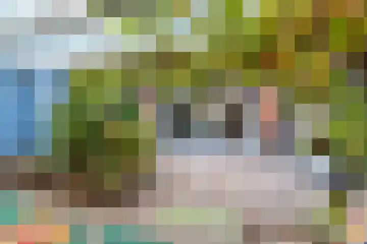 Peppengouw 38 Almere thumbnail 30
