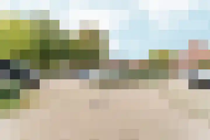 Peppengouw 38 Almere thumbnail 36