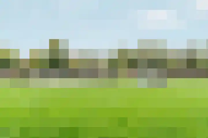 Peppengouw 38 Almere thumbnail 37