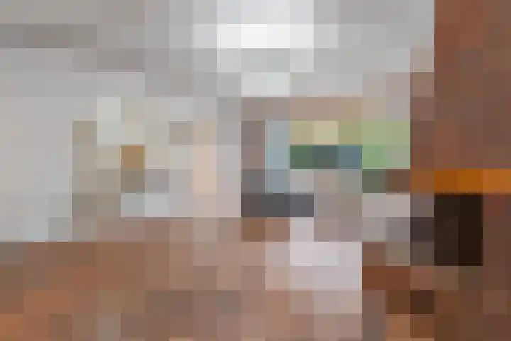 Peppengouw 38 Almere thumbnail 6