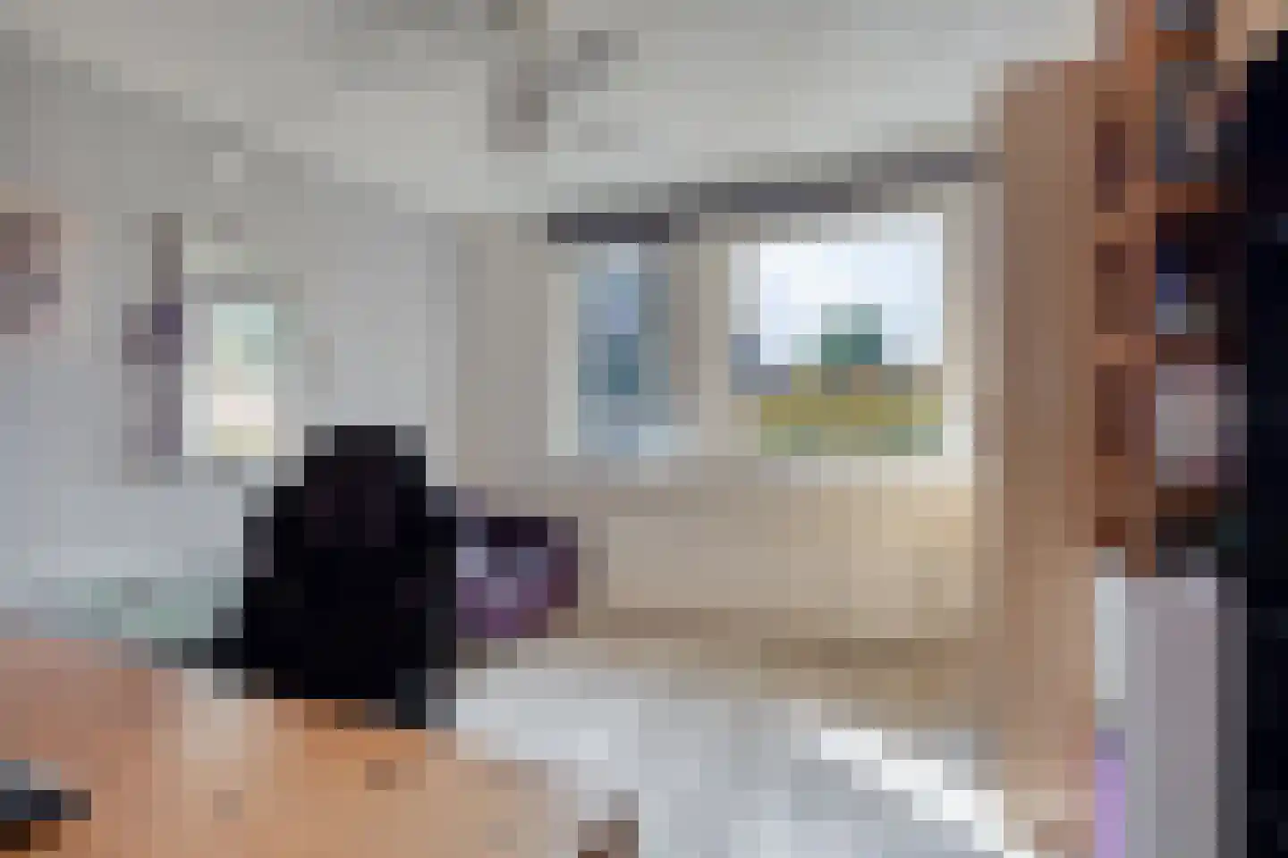 Peppengouw 74 Almere thumbnail 20