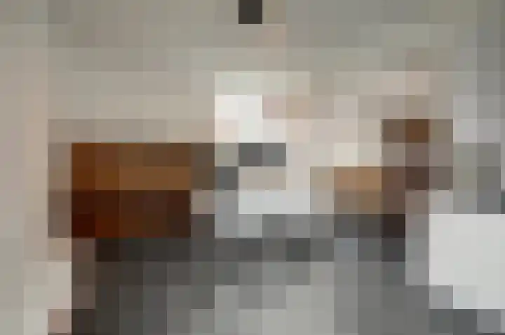 Peppengouw 98 Almere thumbnail 13
