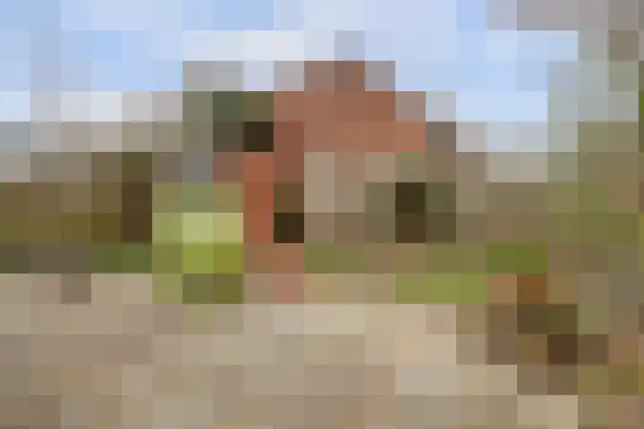 Peppengouw 98 Almere thumbnail 15