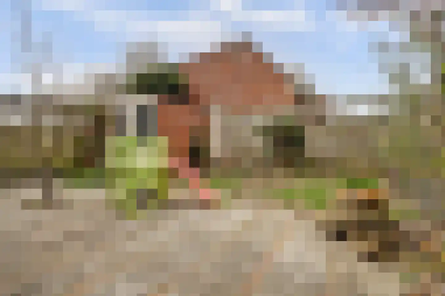 Peppengouw 98 Almere thumbnail 15