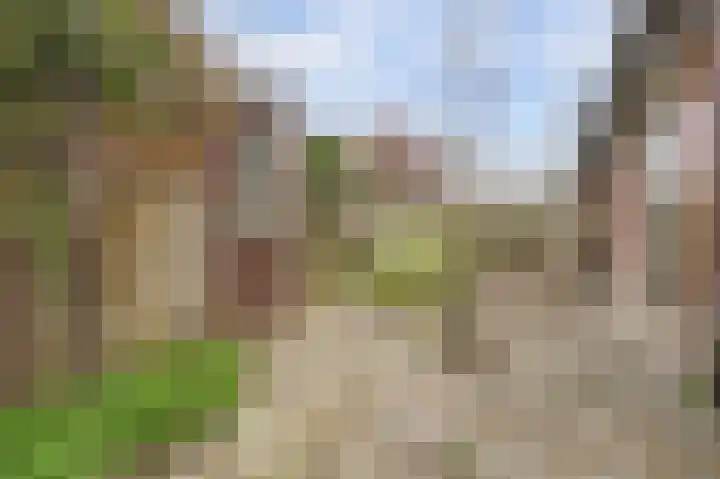 Peppengouw 98 Almere thumbnail 16