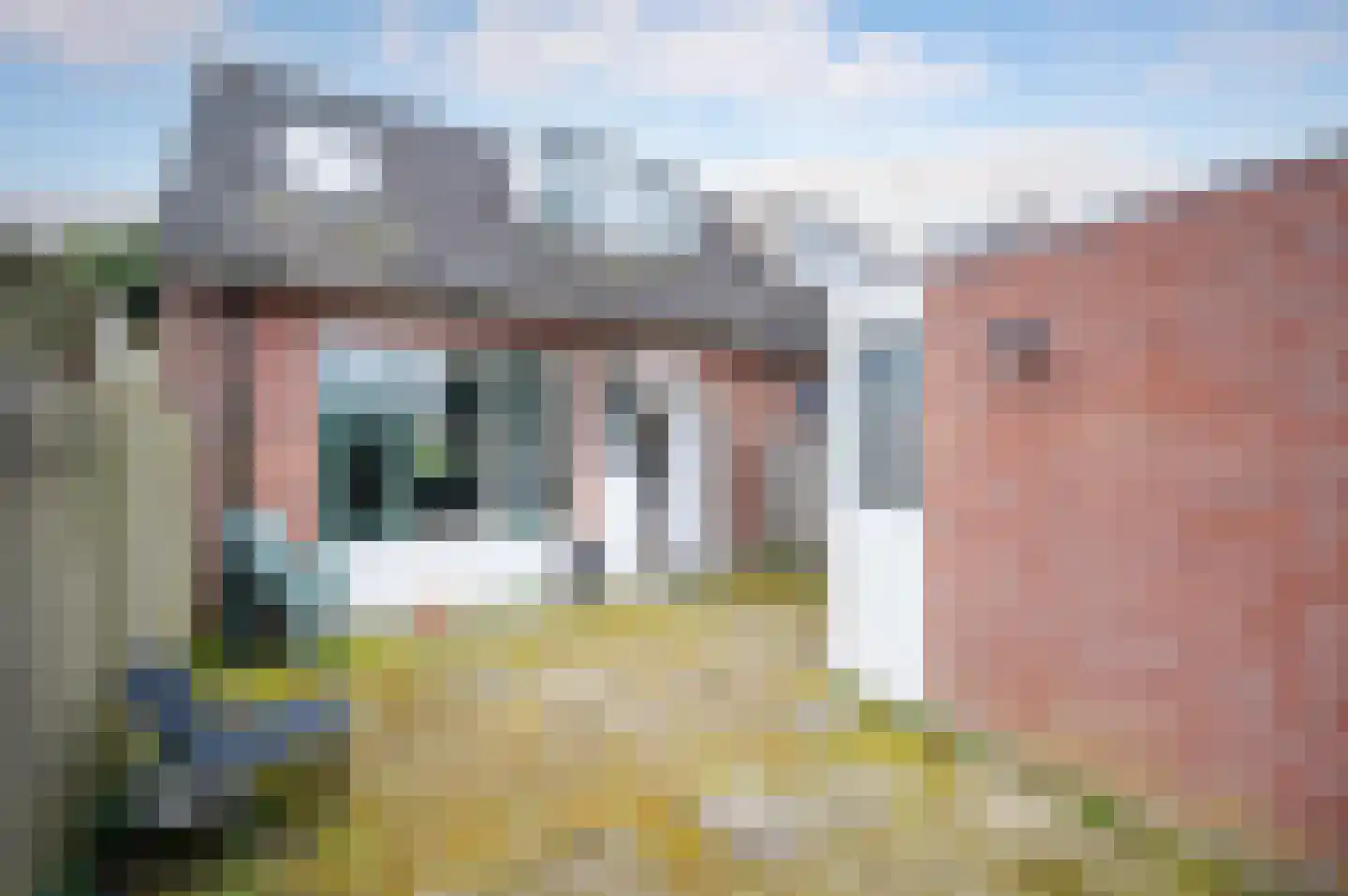 Peppengouw 99 Almere thumbnail 17