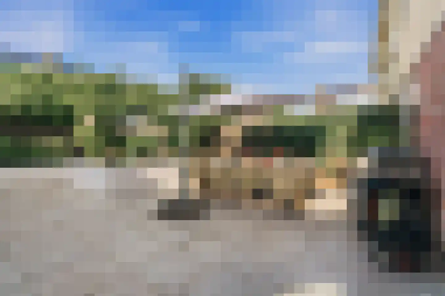 Peppinghof 24 Abcoude thumbnail 10