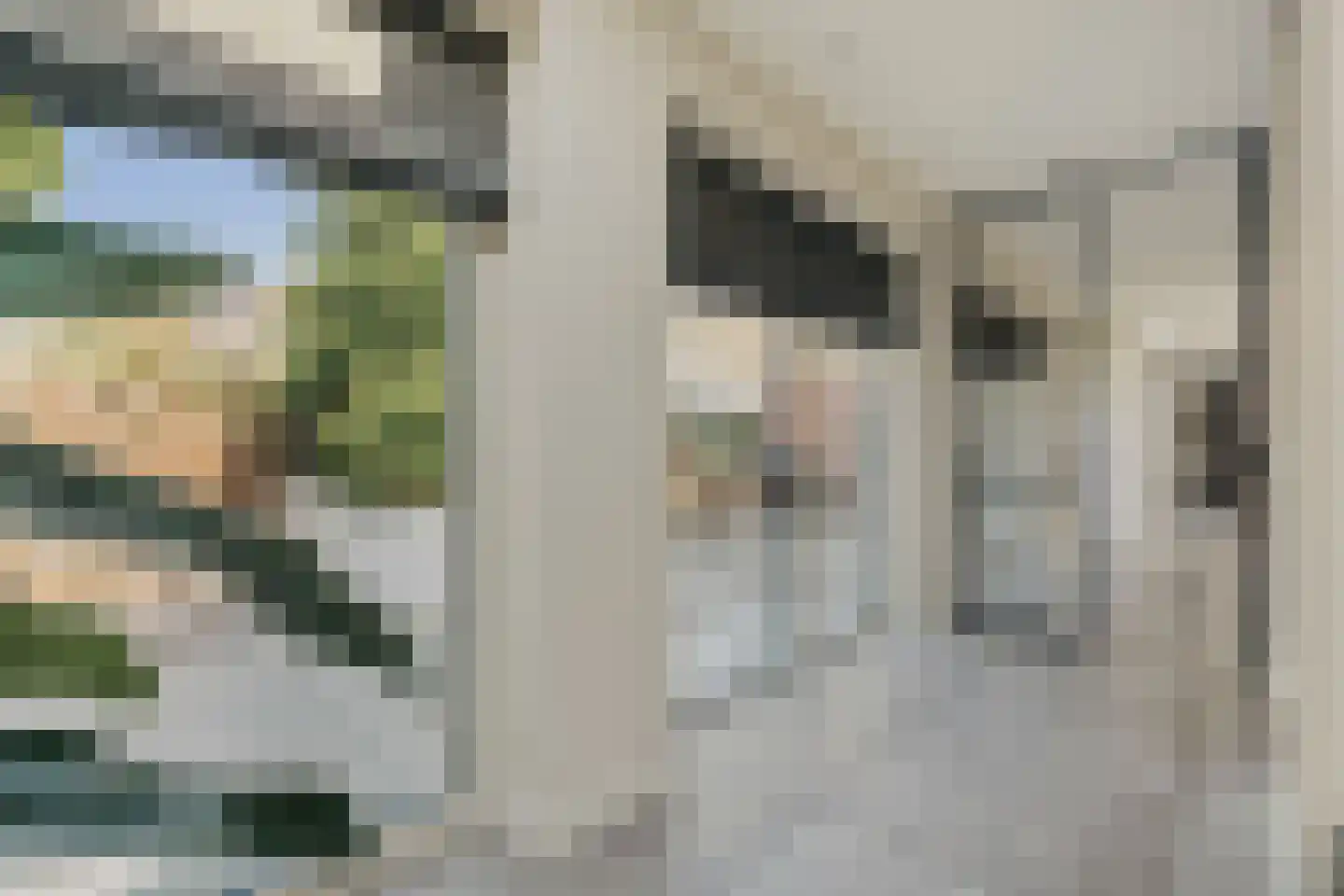 Peppinghof 24 Abcoude thumbnail 12