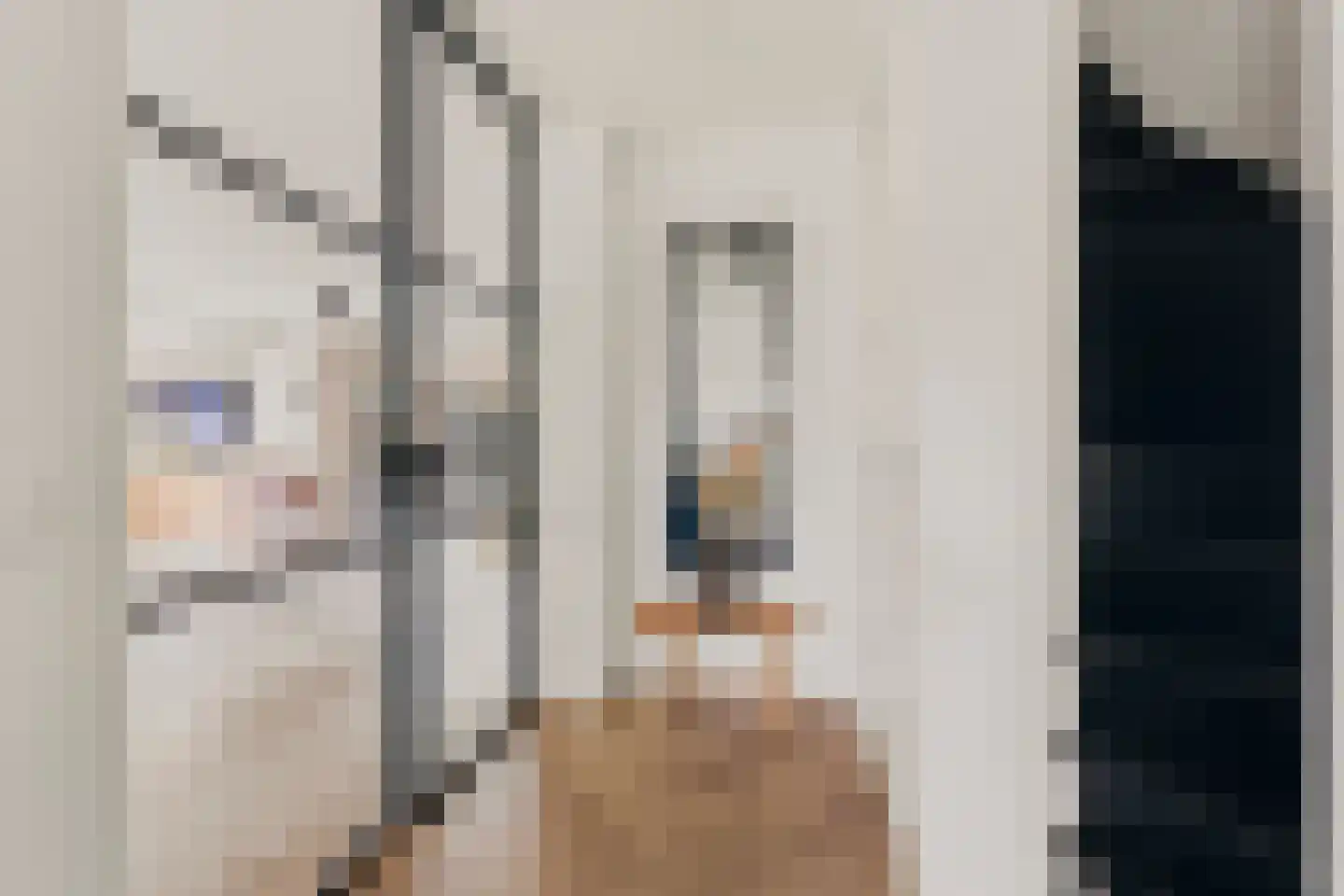 Peppinghof 24 Abcoude thumbnail 15