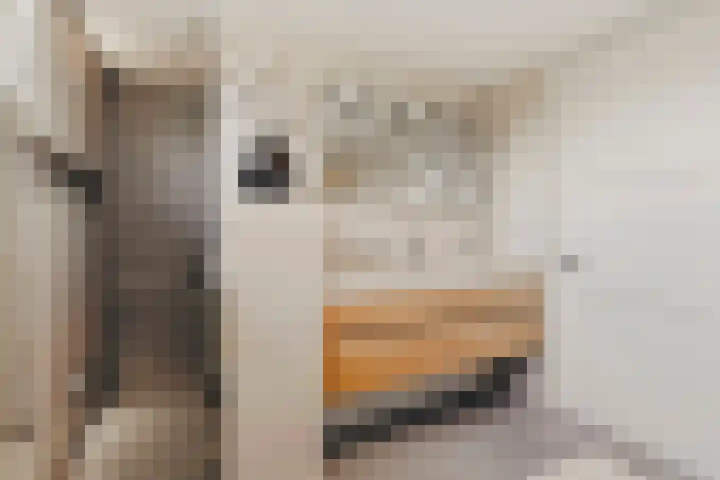 Peppinghof 24 Abcoude thumbnail 21
