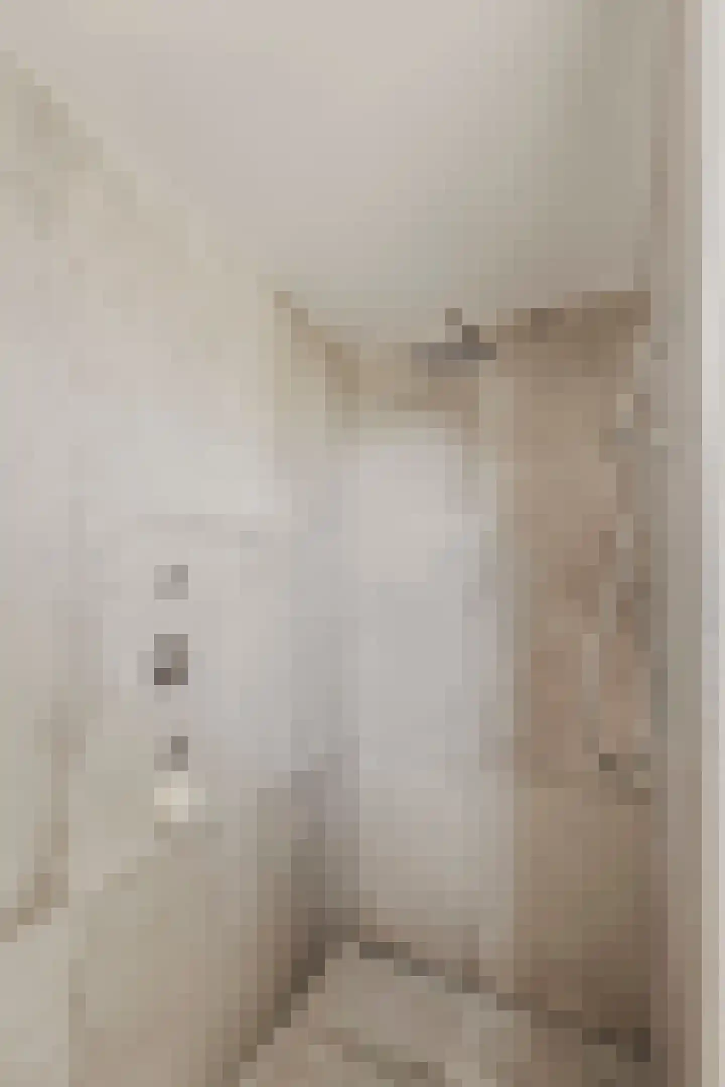 Peppinghof 24 Abcoude thumbnail 22
