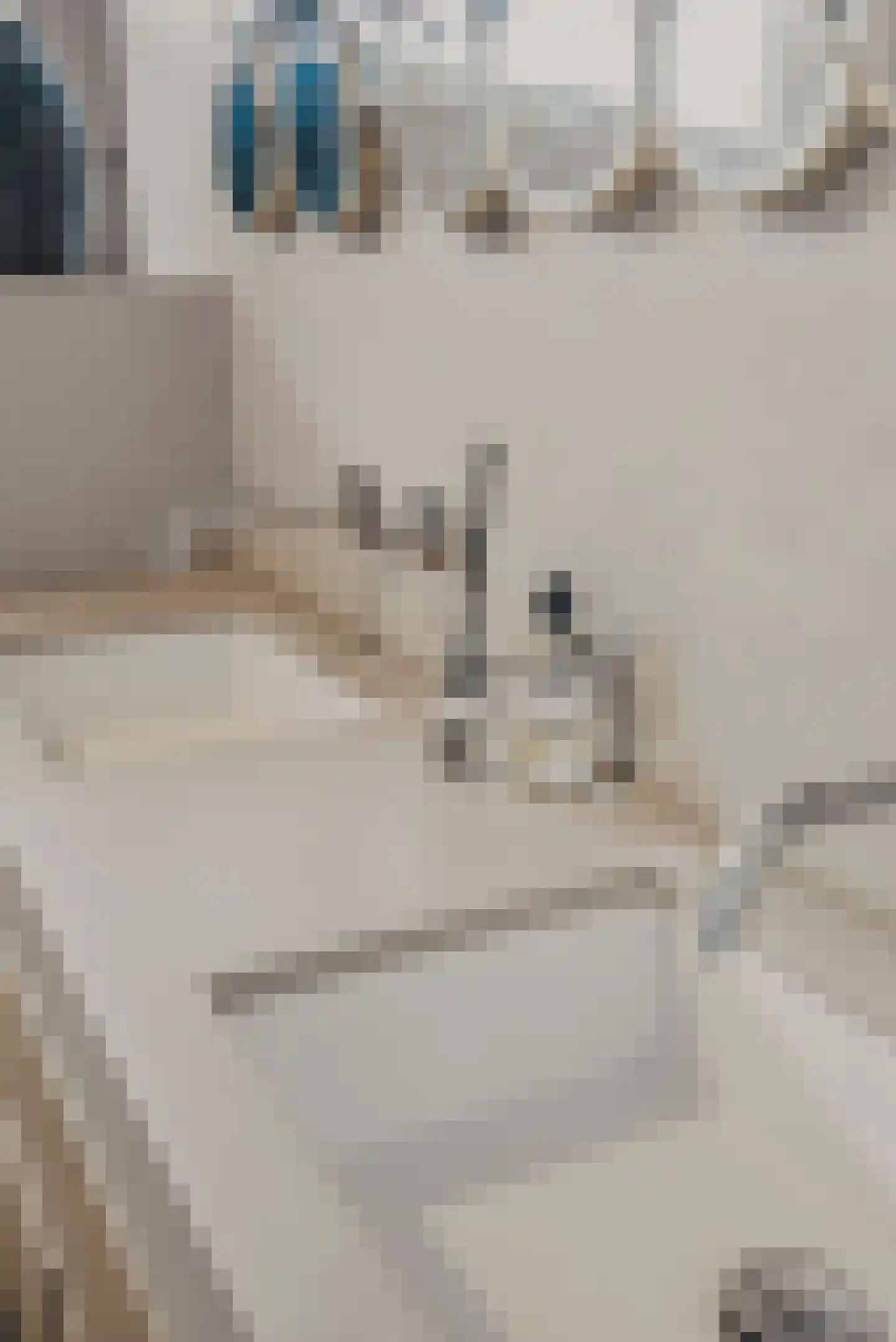 Peppinghof 24 Abcoude thumbnail 23