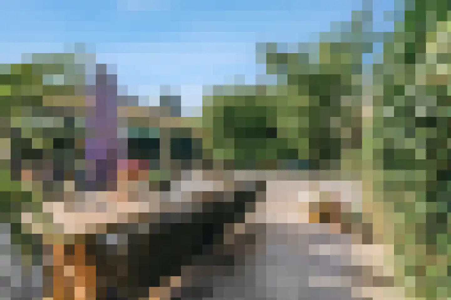 Peppinghof 24 Abcoude thumbnail 36