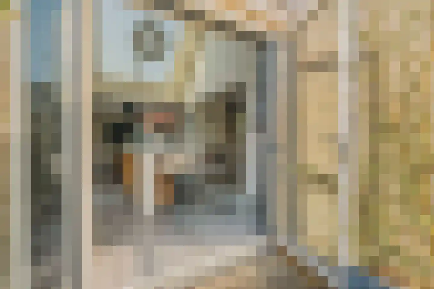 Peppinghof 24 Abcoude thumbnail 40