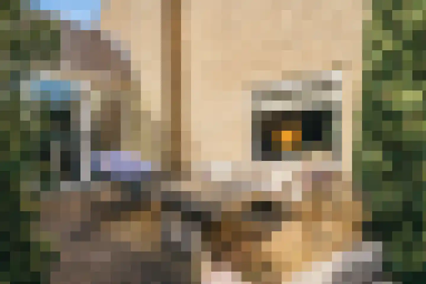 Peppinghof 24 Abcoude thumbnail 7