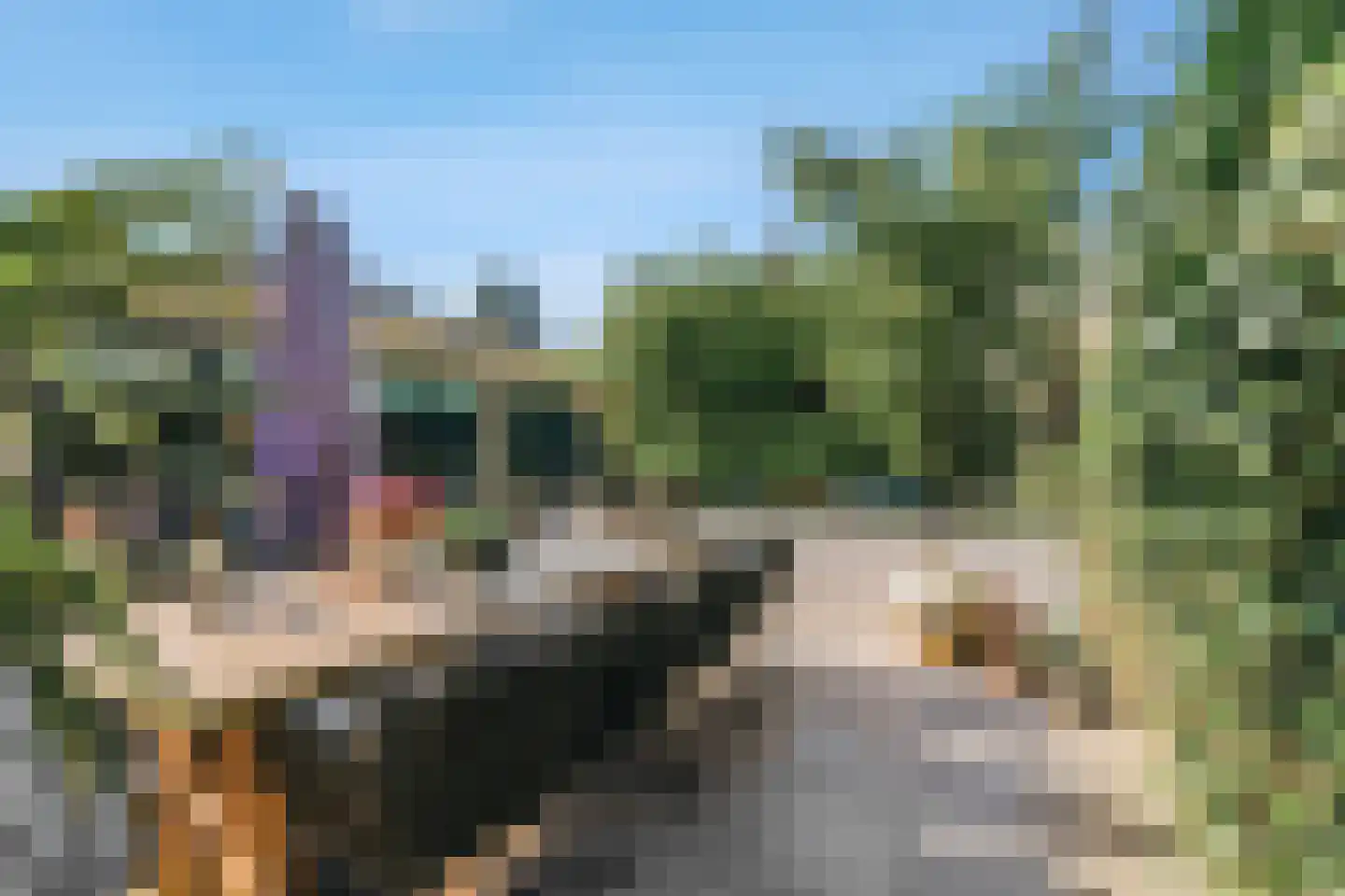 Peppinghof 24 Abcoude thumbnail 9