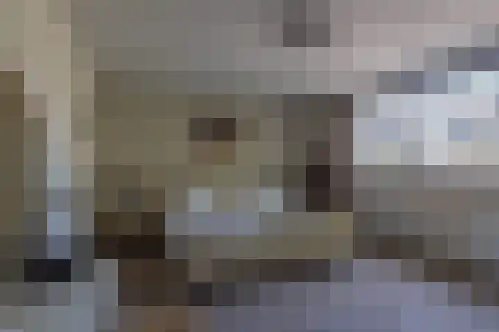 Peppinghof 41 Abcoude thumbnail 14