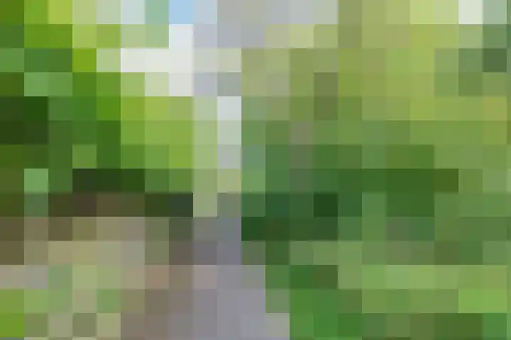 Peppinghof 41 Abcoude thumbnail 30
