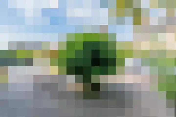 Peppinghof 41 Abcoude thumbnail 32