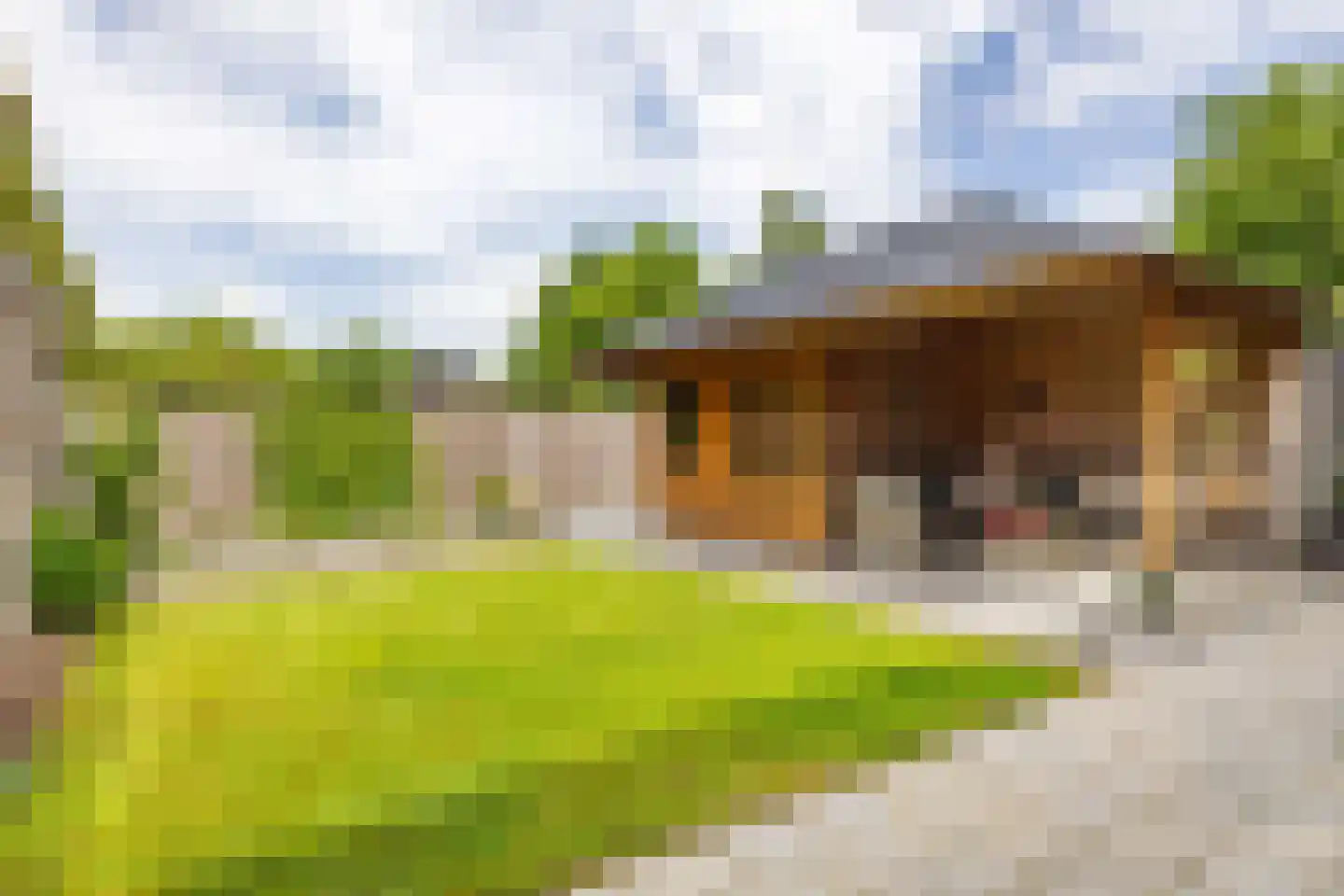 Perastraat 17 Doezum thumbnail 12