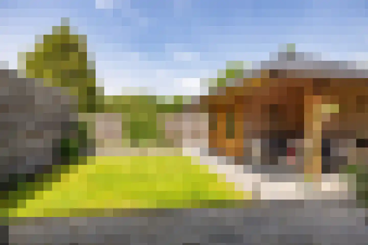 Perastraat 17 Doezum thumbnail 13