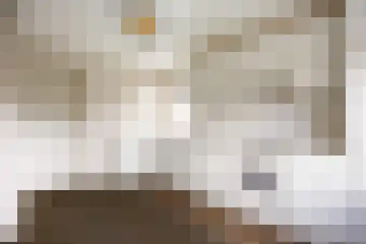 Perastraat 22 Doezum thumbnail 21