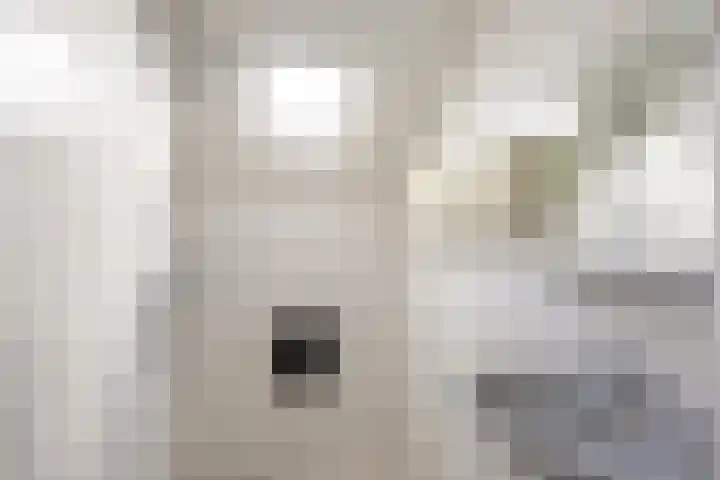 Perastraat 22 Doezum thumbnail 36