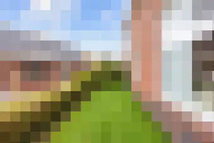Perastraat 22 Doezum thumbnail 46