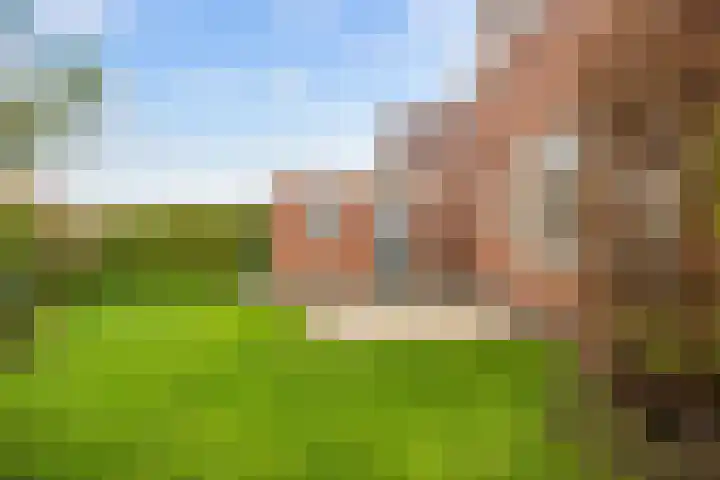 Perastraat 22 Doezum thumbnail 47