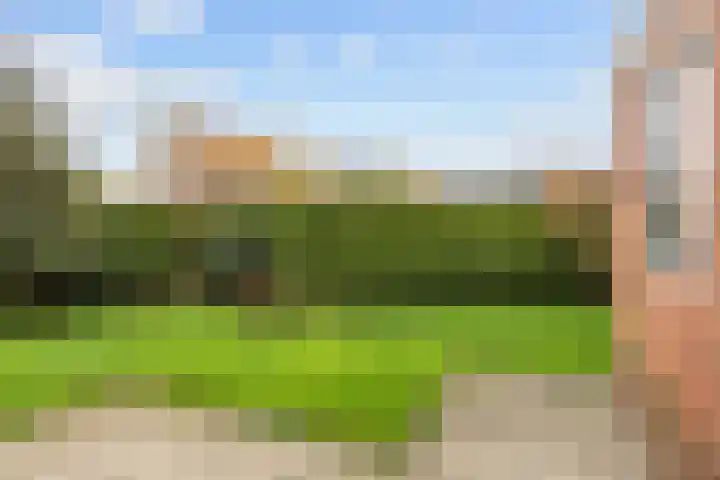 Perastraat 22 Doezum thumbnail 48