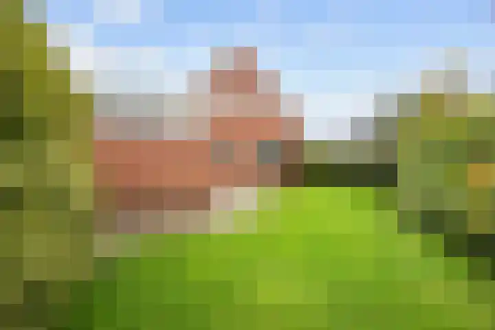 Perastraat 22 Doezum thumbnail 49