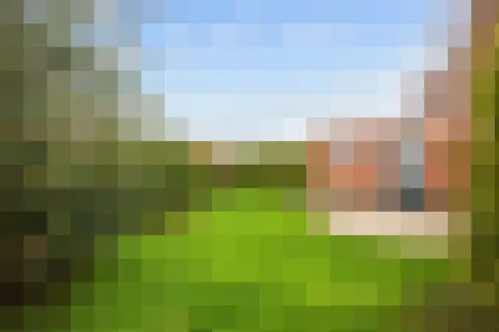 Perastraat 22 Doezum thumbnail 6