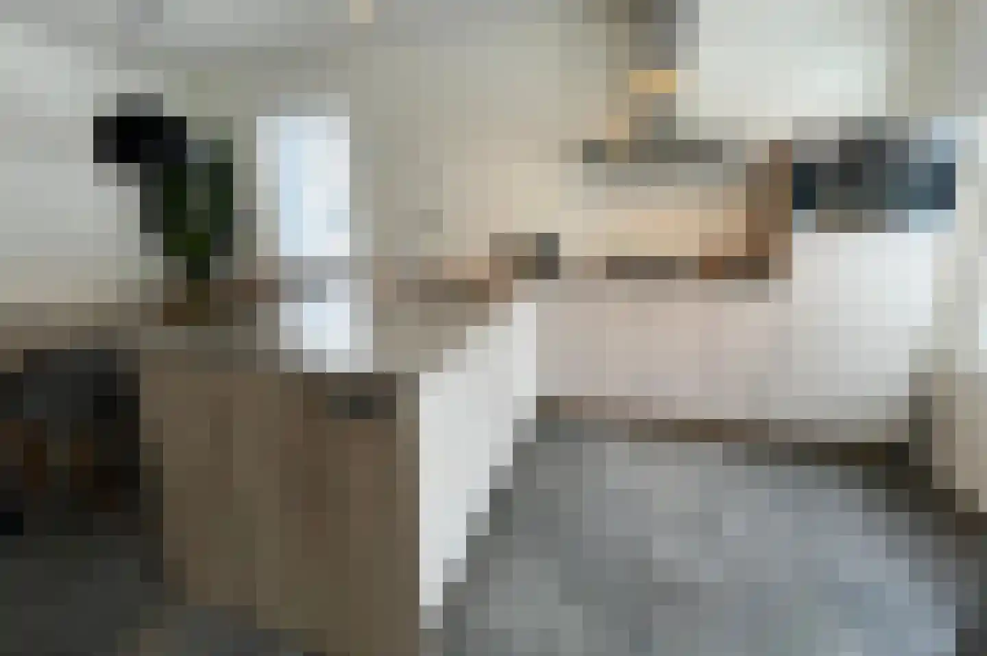 Perceval 8 Maastricht thumbnail 4