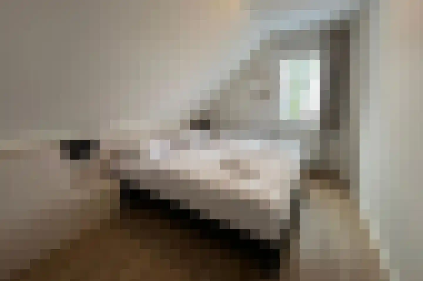 Perceval 8 Maastricht thumbnail 7