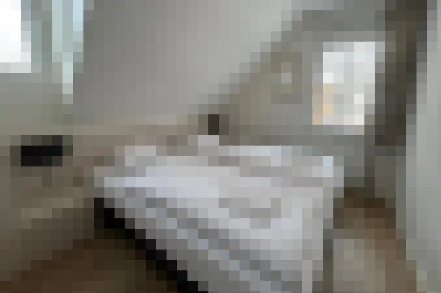 Perceval 8 Maastricht thumbnail 8