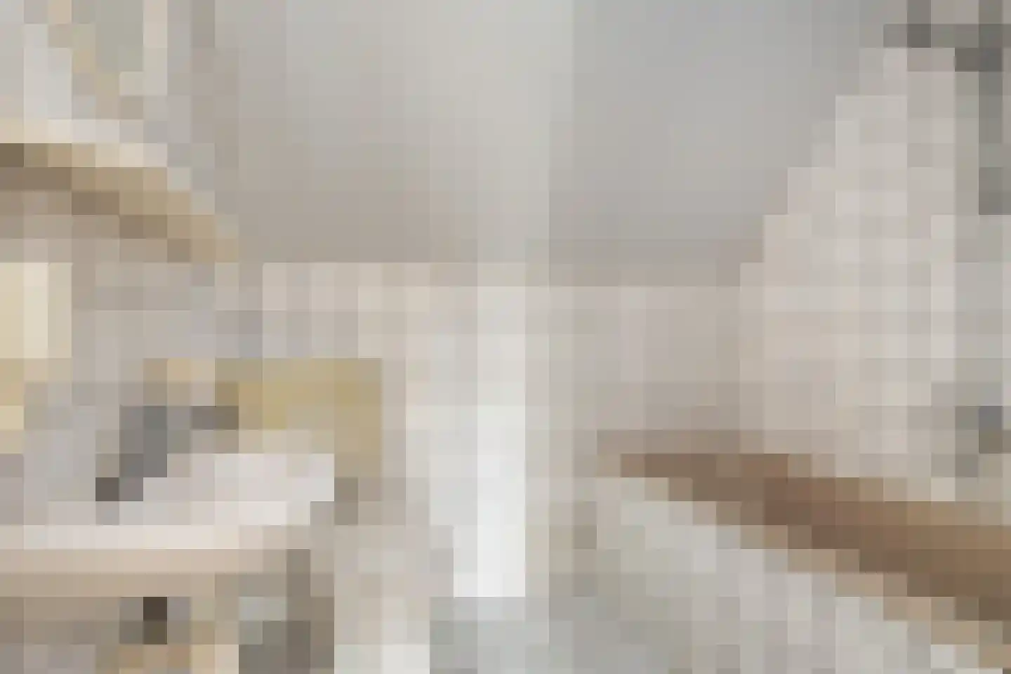 Perebomenweg 12 Elim thumbnail 12