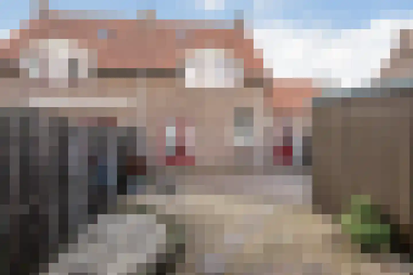 Perebomenweg 12 Elim thumbnail 4