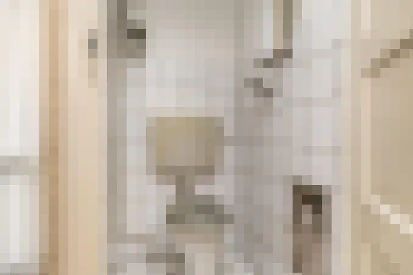 Perebomenweg 12 Elim thumbnail 8