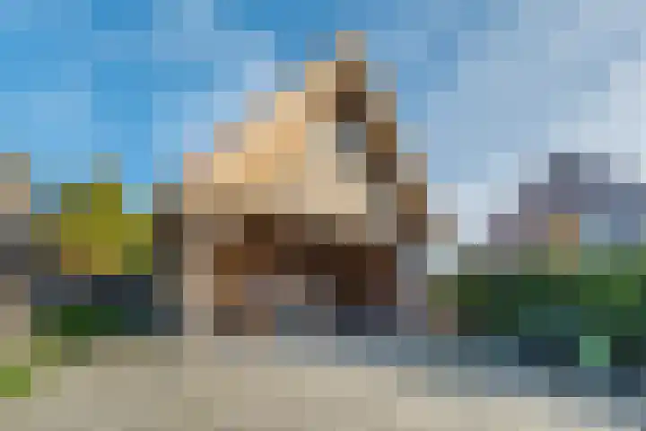 Perebomenweg 51 Nieuwlande thumbnail 5