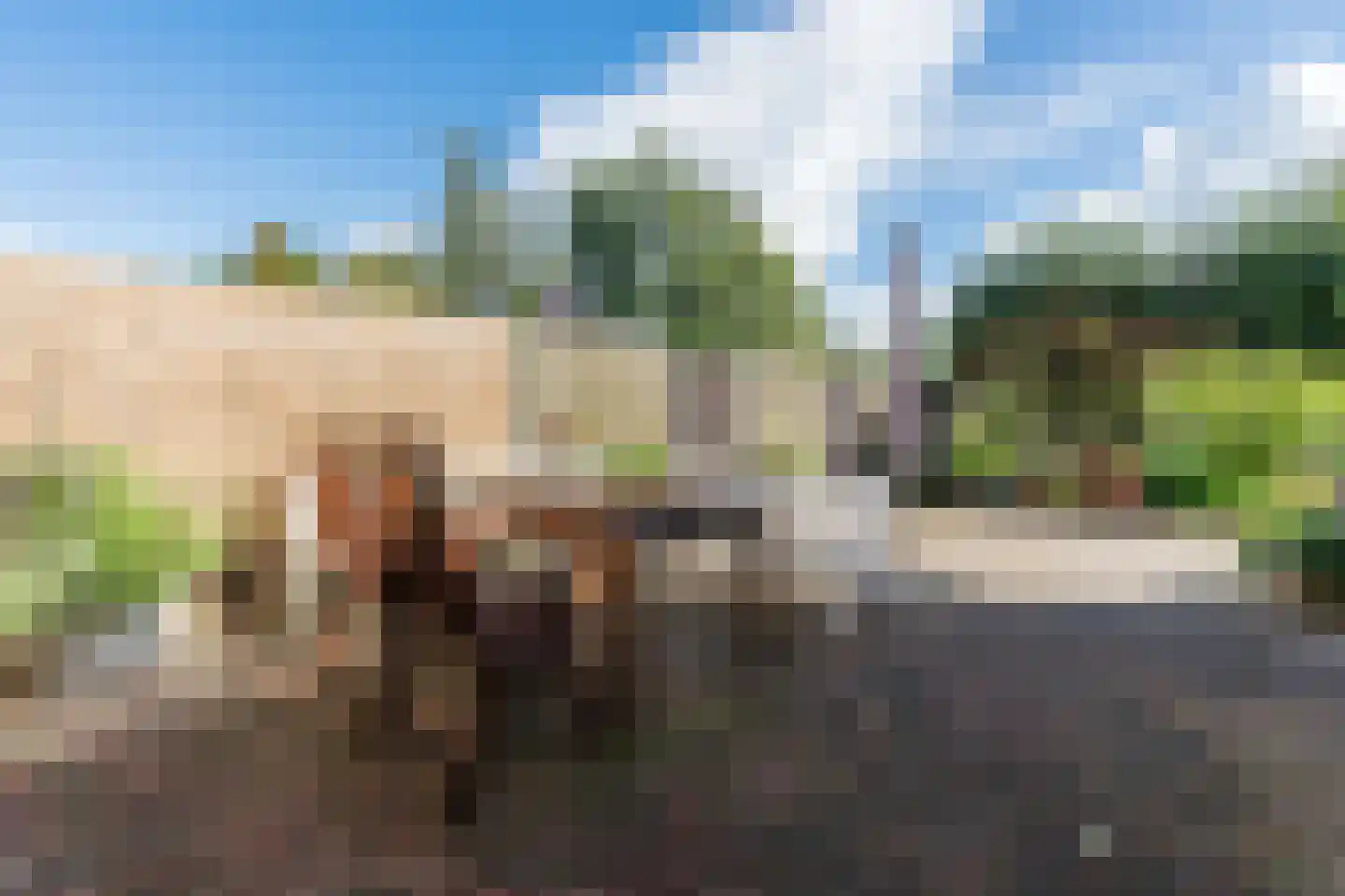 Perebomenweg 72 Nieuwlande thumbnail 33