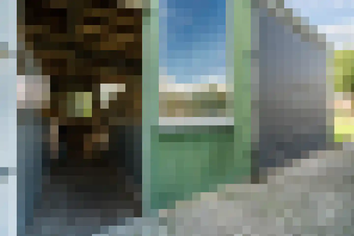 Perebomenweg 72 Nieuwlande thumbnail 36