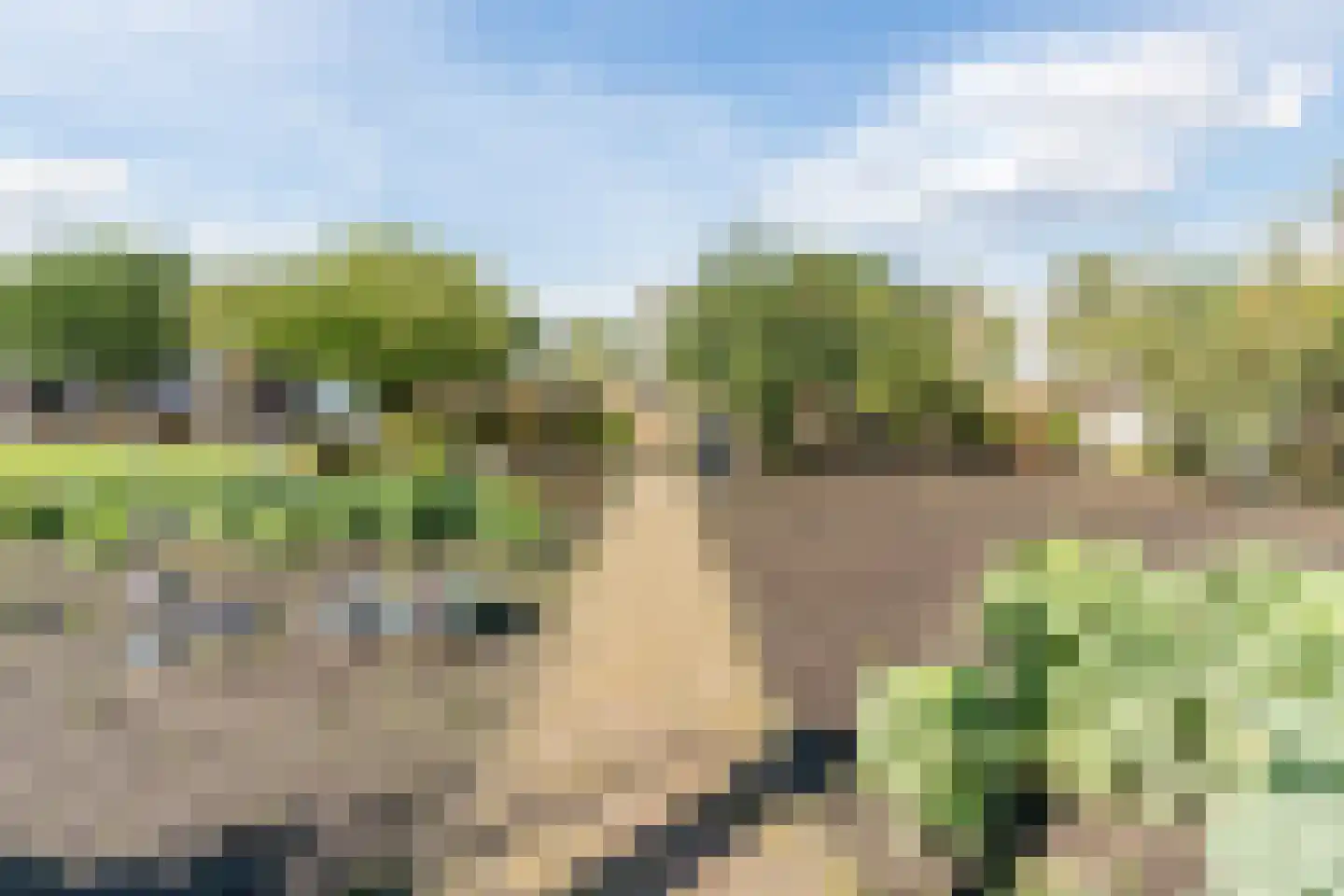 Perebomenweg 72 Nieuwlande thumbnail 38