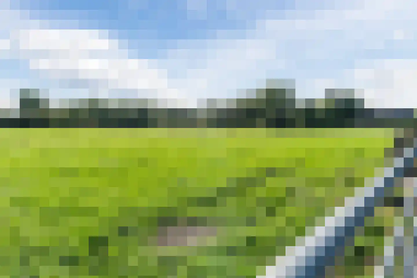 Perebomenweg 72 Nieuwlande thumbnail 39